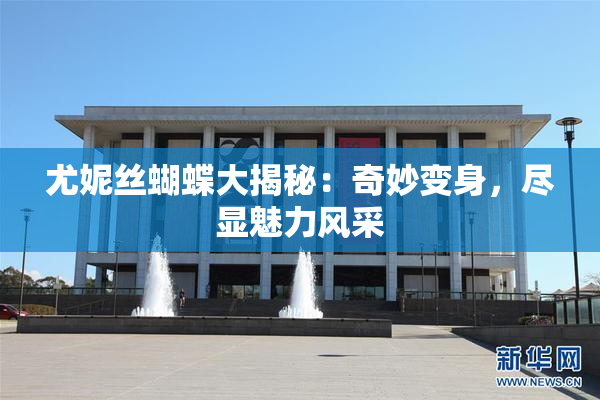 尤妮丝蝴蝶大揭秘：奇妙变身，尽显魅力风采
