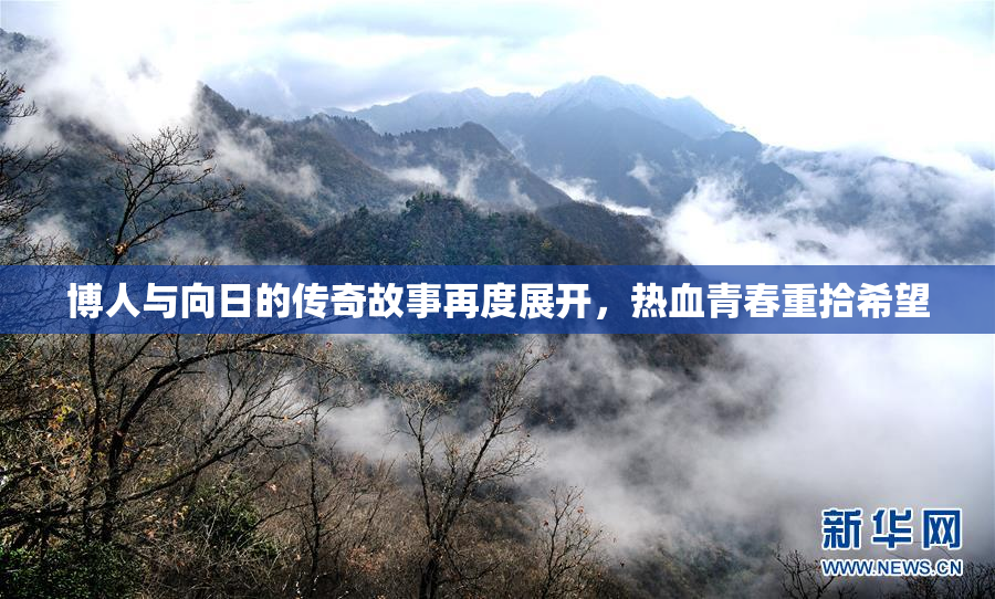 博人与向日的传奇故事再度展开，热血青春重拾希望