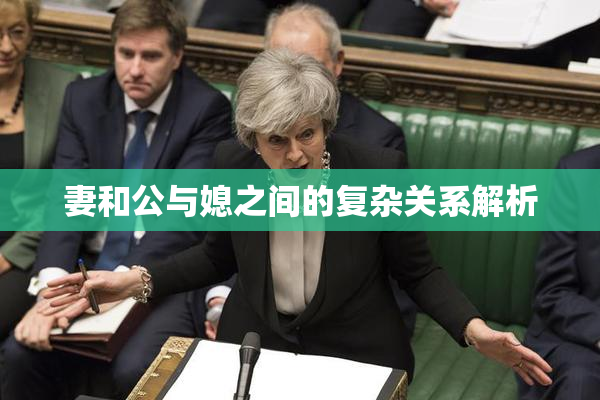 妻和公与媳之间的复杂关系解析