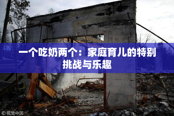 一个吃奶两个：家庭育儿的特别挑战与乐趣