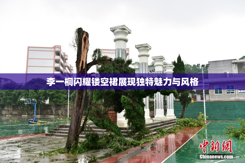 李一桐闪耀镂空裙展现独特魅力与风格