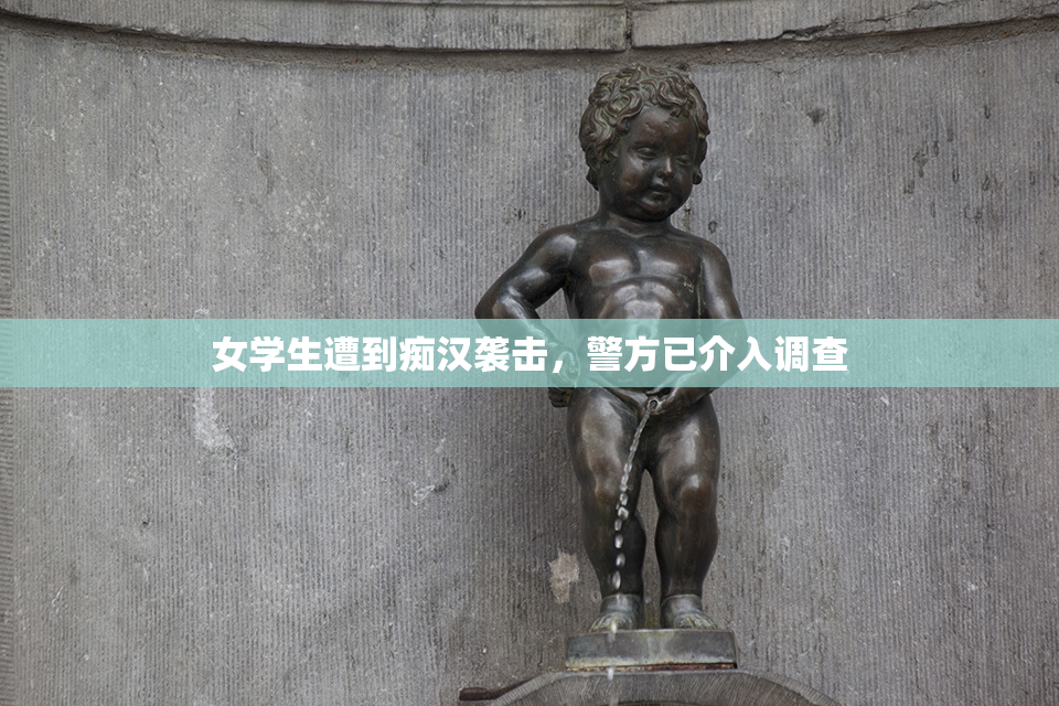 女学生遭到痴汉袭击，警方已介入调查