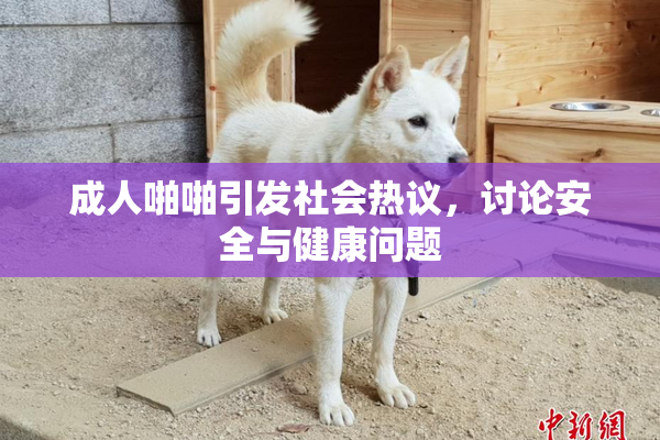 成人啪啪引发社会热议，讨论安全与健康问题