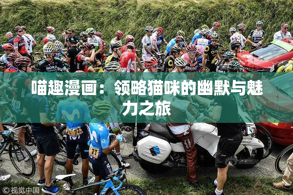 喵趣漫画：领略猫咪的幽默与魅力之旅