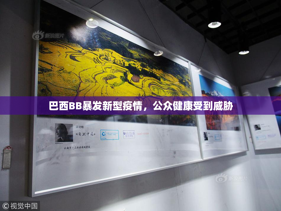 巴西BB暴发新型疫情，公众健康受到威胁