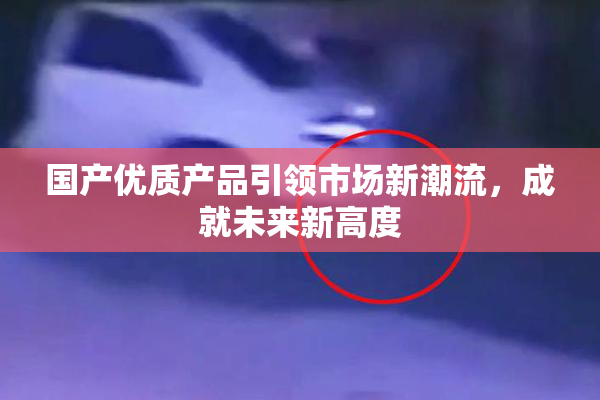 国产优质产品引领市场新潮流，成就未来新高度