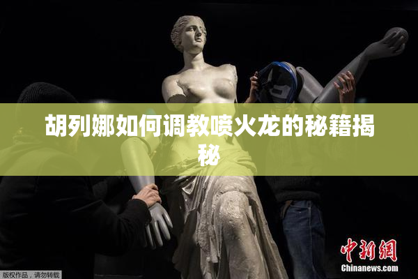 胡列娜如何调教喷火龙的秘籍揭秘