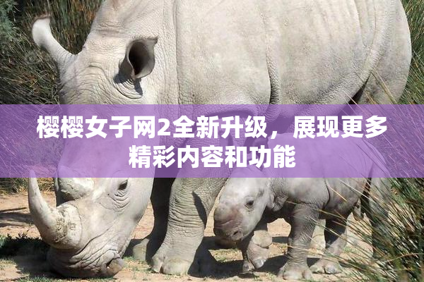 樱樱女子网2全新升级，展现更多精彩内容和功能