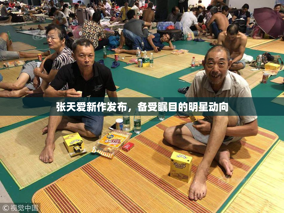 张天爱新作发布，备受瞩目的明星动向
