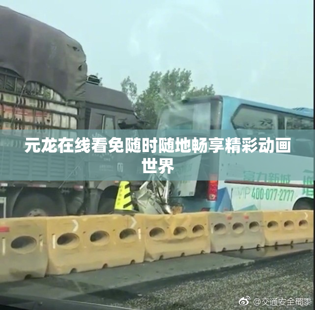 元龙在线看免随时随地畅享精彩动画世界