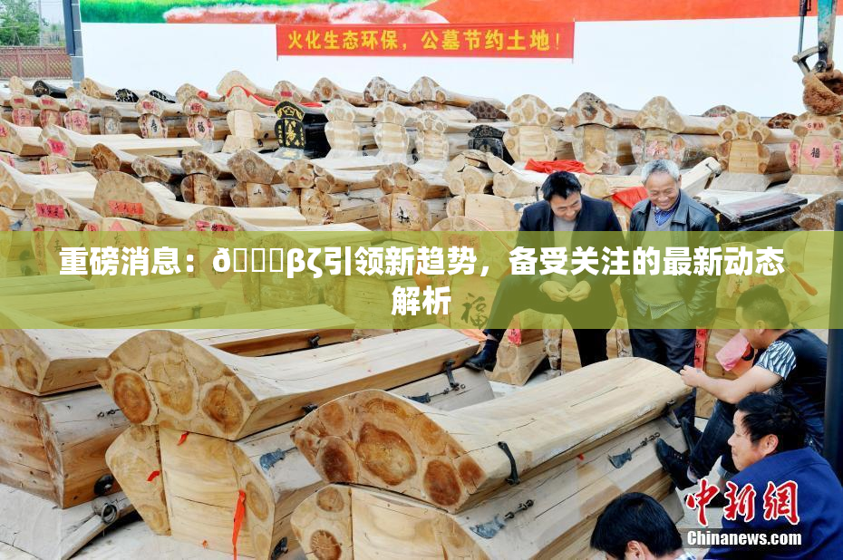 重磅消息：👙βζ引领新趋势，备受关注的最新动态解析