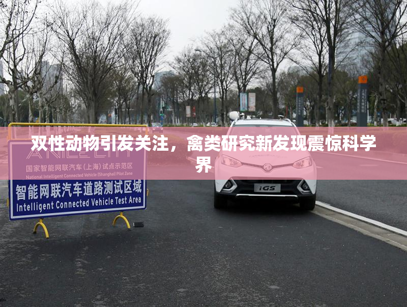 双性动物引发关注，禽类研究新发现震惊科学界