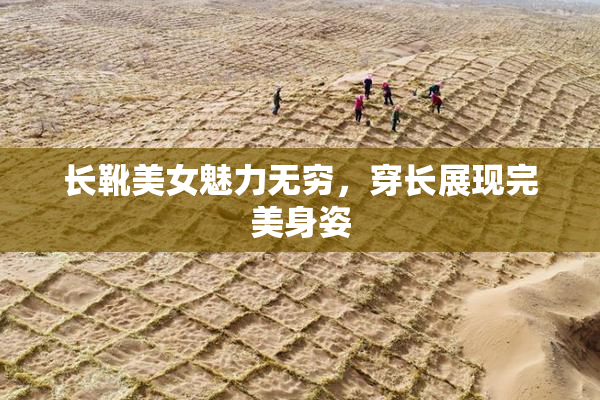 长靴美女魅力无穷，穿长展现完美身姿