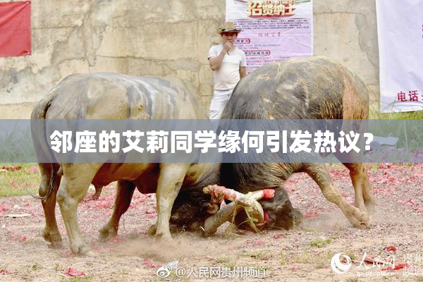 邻座的艾莉同学缘何引发热议？