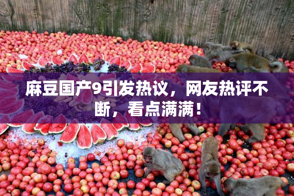 麻豆国产9引发热议，网友热评不断，看点满满！