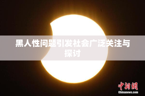 黑人性问题引发社会广泛关注与探讨