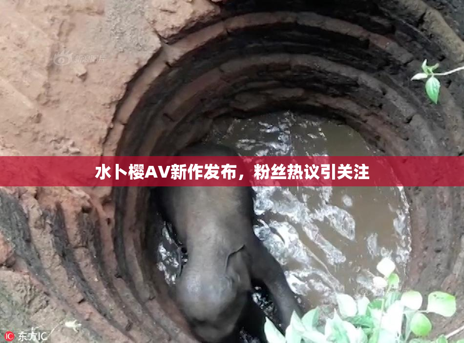 水卜樱AV新作发布，粉丝热议引关注