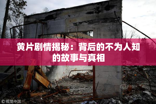 黄片剧情揭秘：背后的不为人知的故事与真相