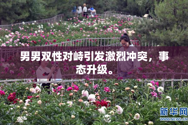 男男双性对峙引发激烈冲突，事态升级。