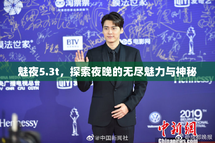魅夜5.3t，探索夜晚的无尽魅力与神秘