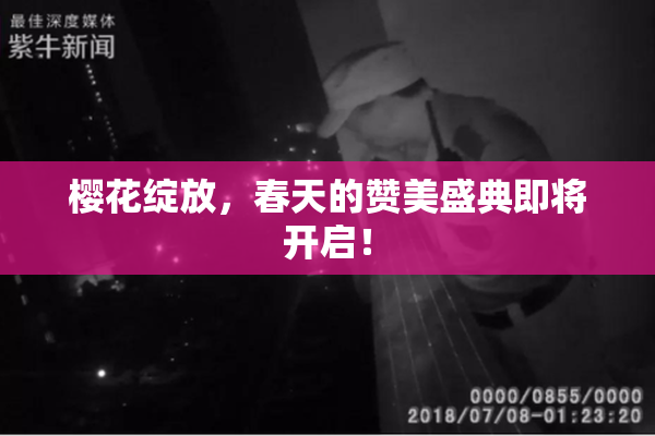 樱花绽放，春天的赞美盛典即将开启！