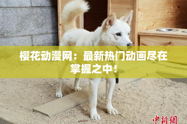 樱花动漫网：最新热门动画尽在掌握之中！