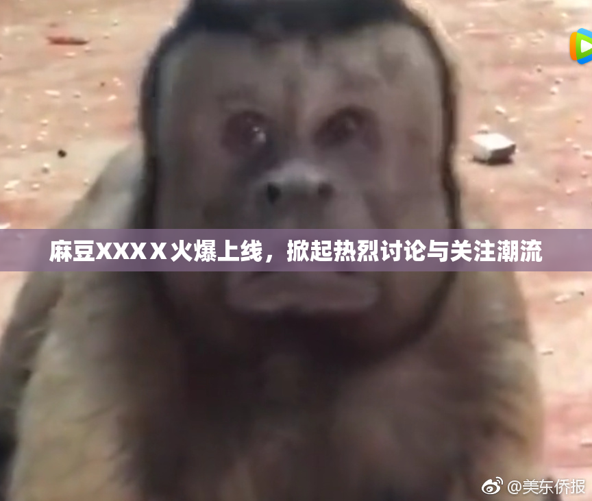 麻豆XXXⅩ火爆上线，掀起热烈讨论与关注潮流