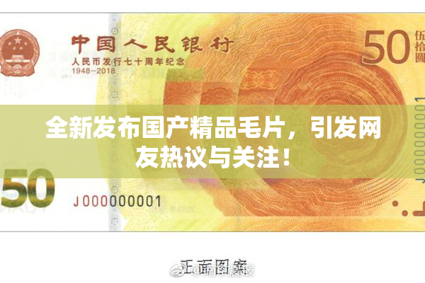 全新发布国产精品毛片，引发网友热议与关注！