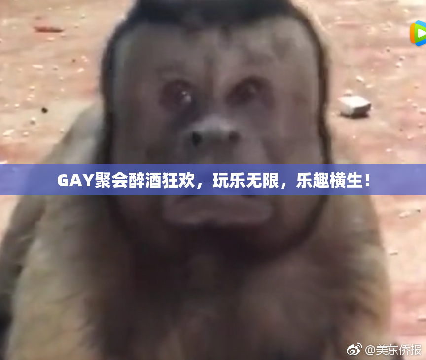 GAY聚会醉酒狂欢，玩乐无限，乐趣横生！