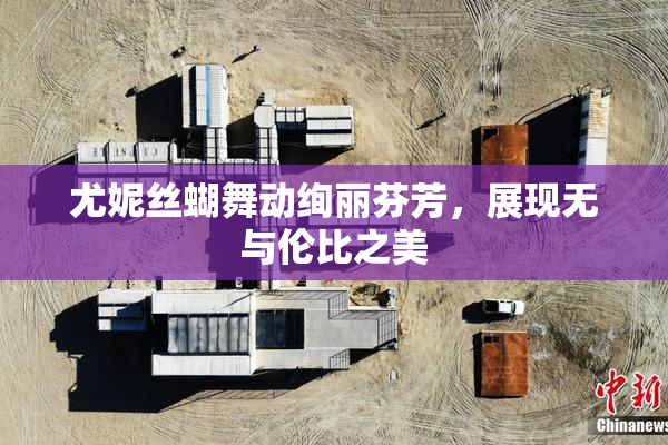 尤妮丝蝴舞动绚丽芬芳，展现无与伦比之美