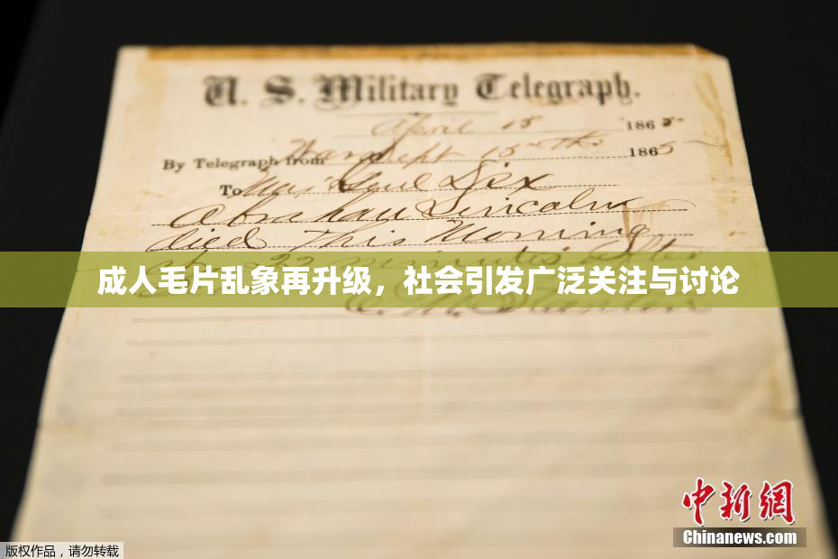 成人毛片乱象再升级，社会引发广泛关注与讨论