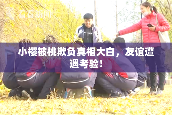 小樱被桃欺负真相大白，友谊遭遇考验！