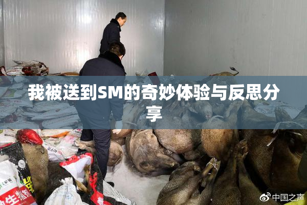 我被送到SM的奇妙体验与反思分享