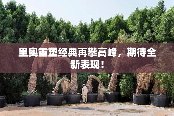 里奥重塑经典再攀高峰，期待全新表现！