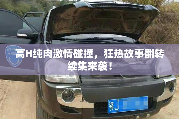 高H纯肉激情碰撞，狂热故事翻转续集来袭！