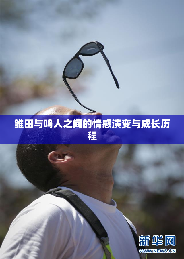 雏田与鸣人之间的情感演变与成长历程