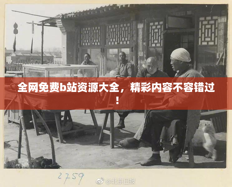全网免费b站资源大全，精彩内容不容错过！