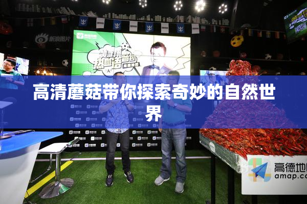 高清蘑菇带你探索奇妙的自然世界
