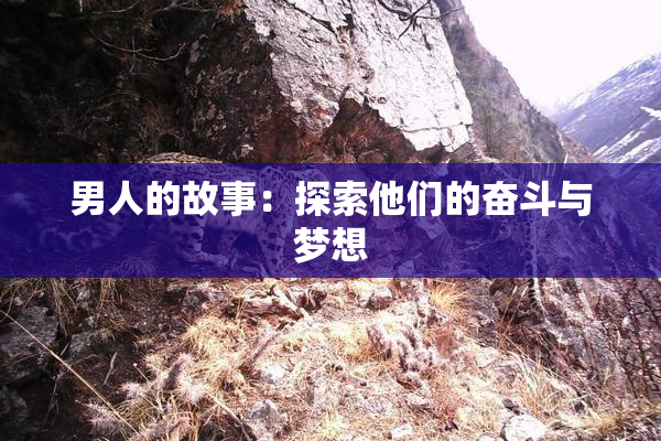 男人的故事：探索他们的奋斗与梦想