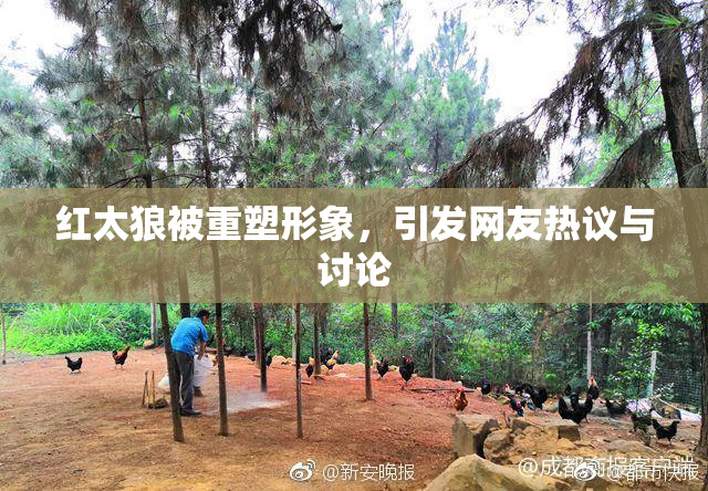 红太狼被重塑形象，引发网友热议与讨论