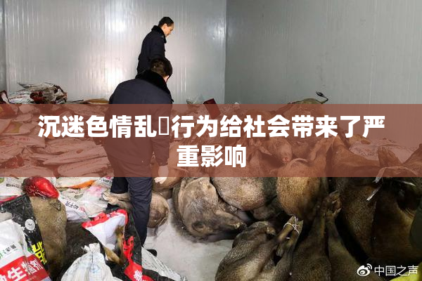 沉迷色情乱婬行为给社会带来了严重影响