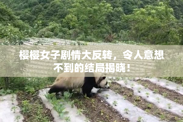 樱樱女子剧情大反转，令人意想不到的结局揭晓！