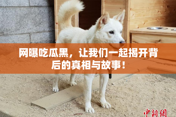 网曝吃瓜黑，让我们一起揭开背后的真相与故事！