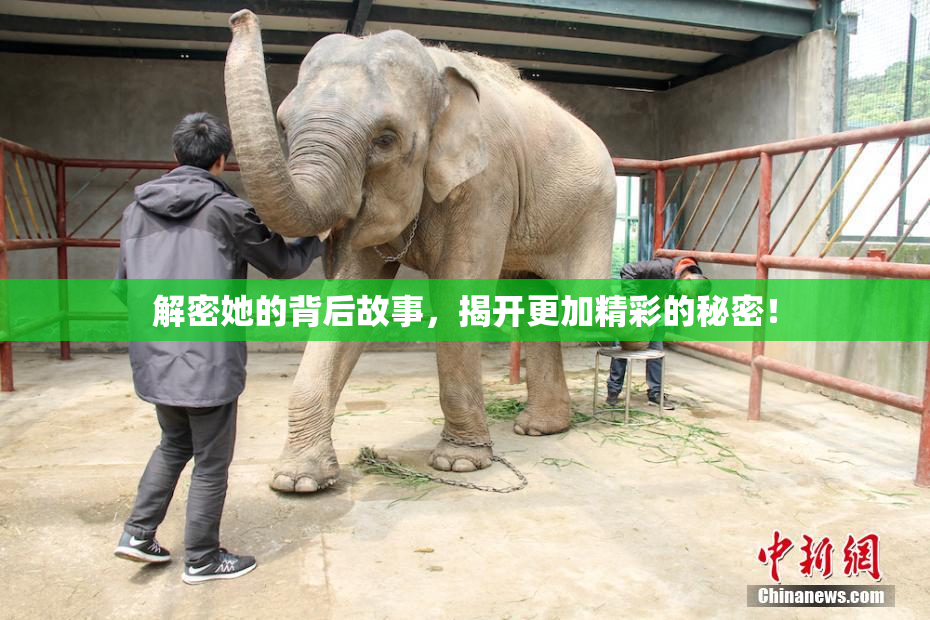 解密她的背后故事，揭开更加精彩的秘密！