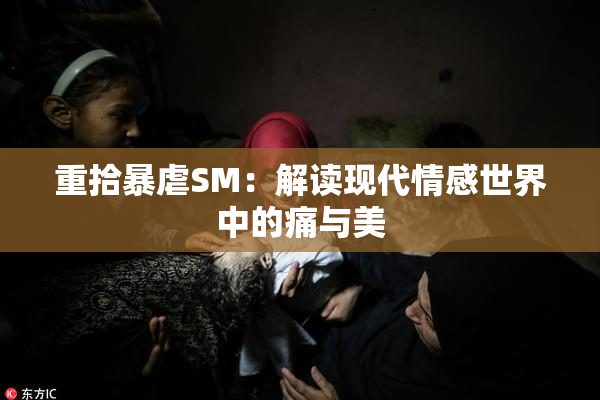 重拾暴虐SM：解读现代情感世界中的痛与美