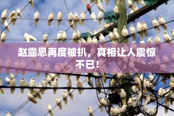 赵露思再度被扒，真相让人震惊不已！