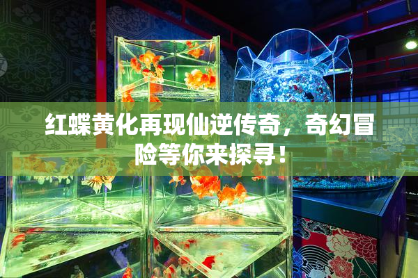 红蝶黄化再现仙逆传奇，奇幻冒险等你来探寻！