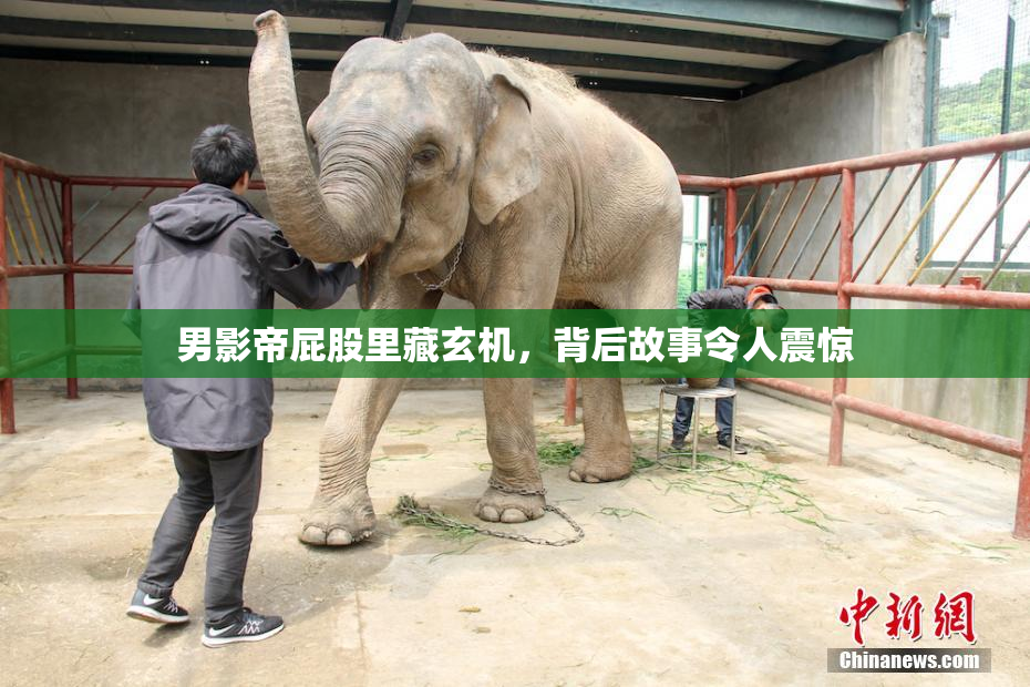 男影帝屁股里藏玄机，背后故事令人震惊