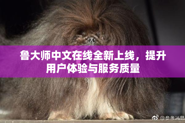 鲁大师中文在线全新上线，提升用户体验与服务质量