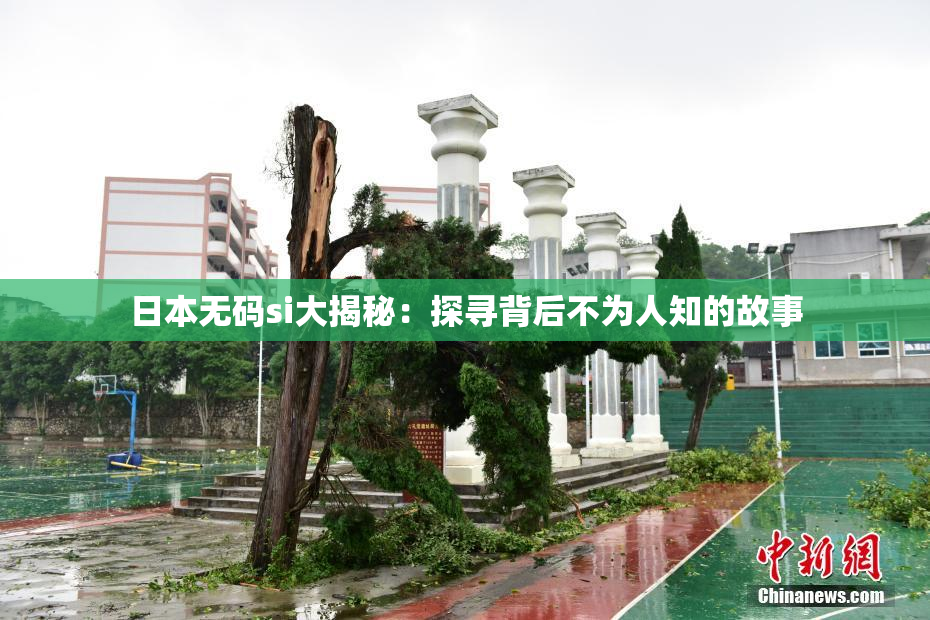 日本无码si大揭秘：探寻背后不为人知的故事
